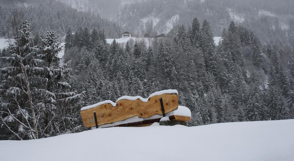Apartments Haus Schoen - Preise Inclusive Pitztal Sommer Card Jerzens Exterior foto